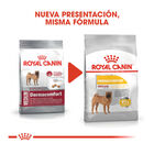 Royal Canin Dermacomfort Medium pienso para perros, , large image number null